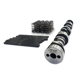 Texas Speed & Performance Camshaft Packages for Cathedral Port Heads (LS1/2/6) - Southwest Speed LLC